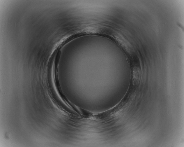 X0000098210492200804241324