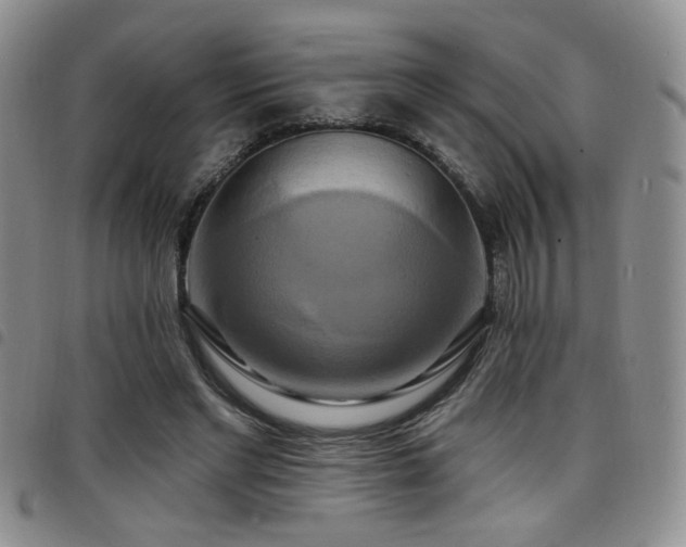 X0000098210493200804241324