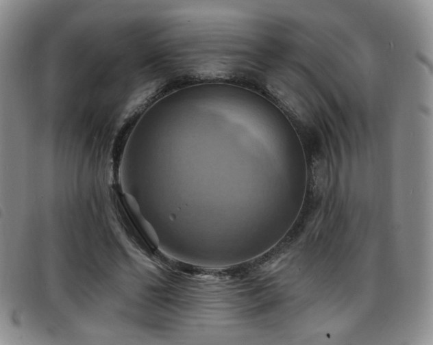 X0000098210494200804241324