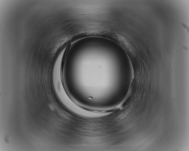 X0000098210495200804241324