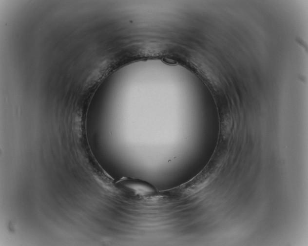 X0000098210497200804241324