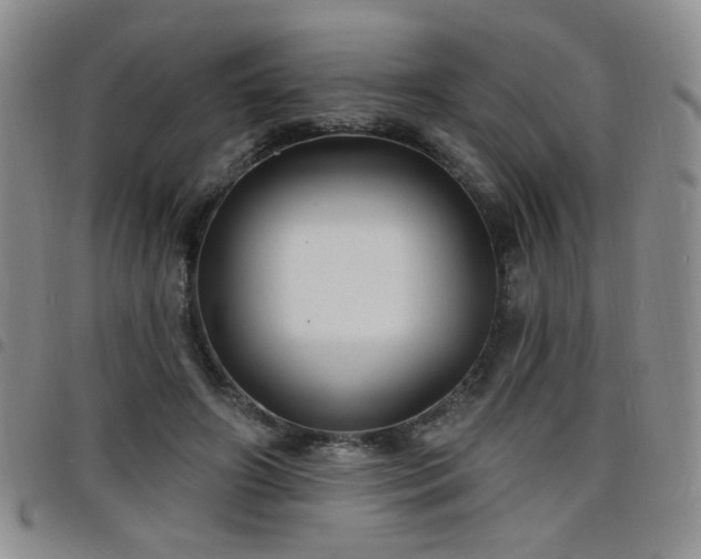 X0000098210498200804241324