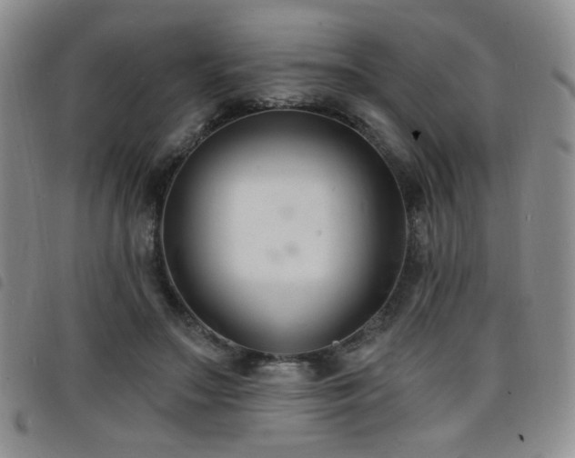 X0000098210499200804241324