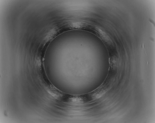 X0000098210500200804241324