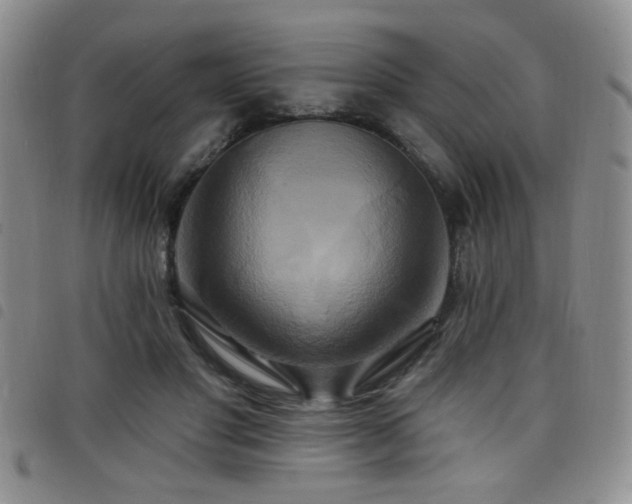 X0000098210501200804241324