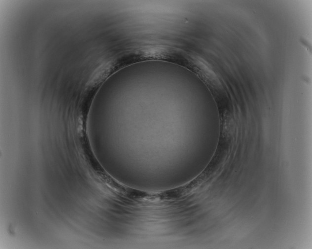 X0000098210502200804241324