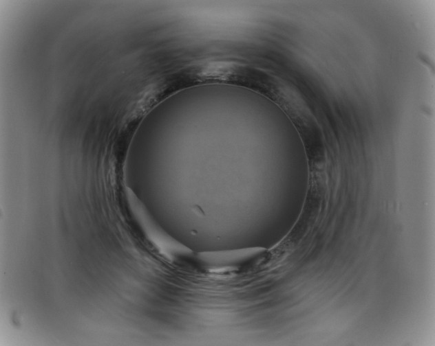 X0000098210504200804241324