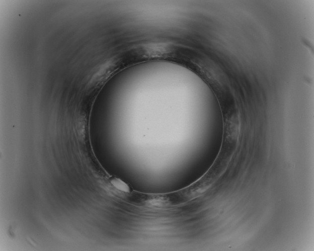 X0000098210505200804241324