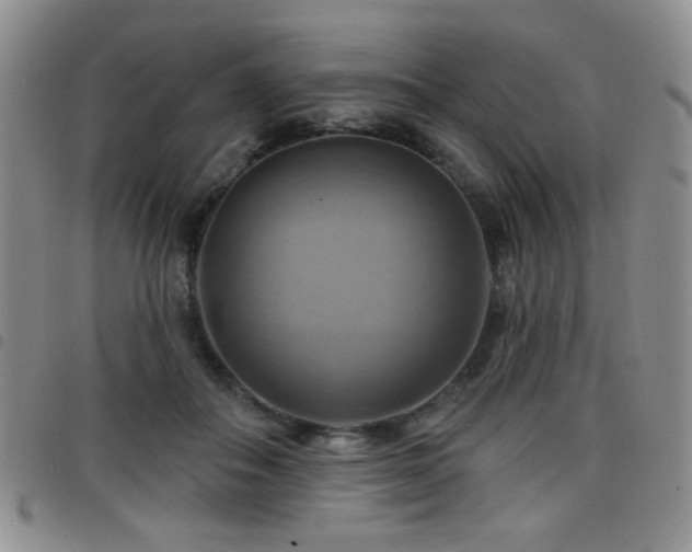 X0000098210506200804241324