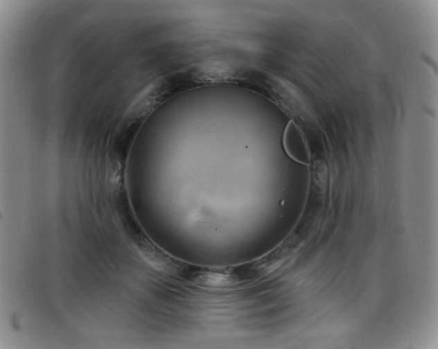X0000098210507200804241324