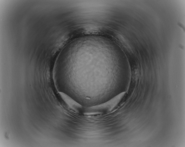 X0000098210508200804241324