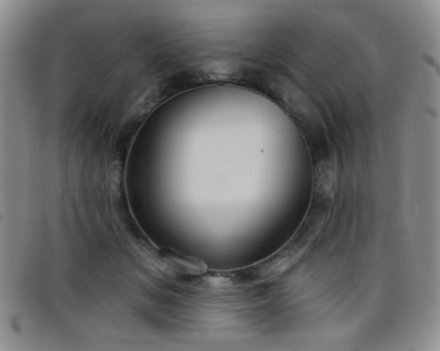 X0000098210509200804241324