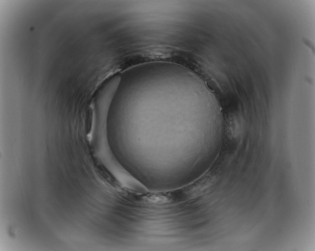 X0000098210512200804241324