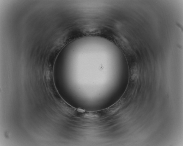 X0000098210515200804241324