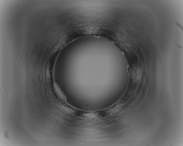 X0000098210516200804241324