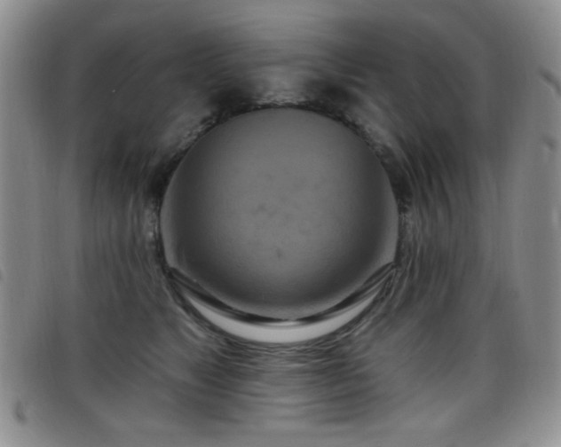 X0000098210517200804241324
