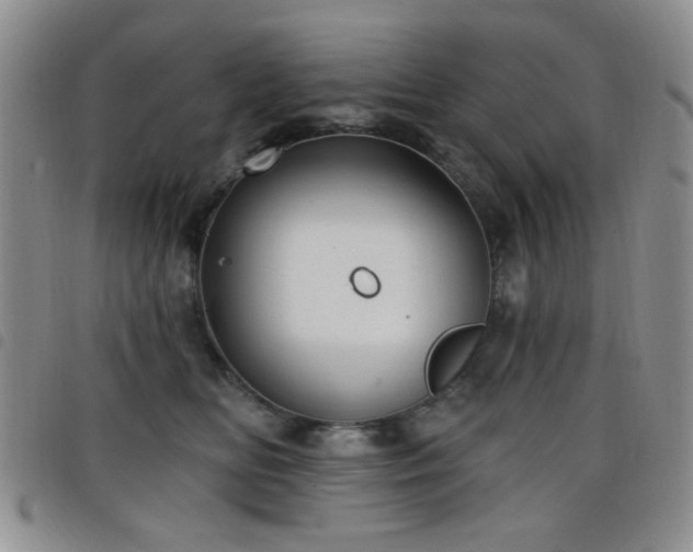 X0000098210518200804241324