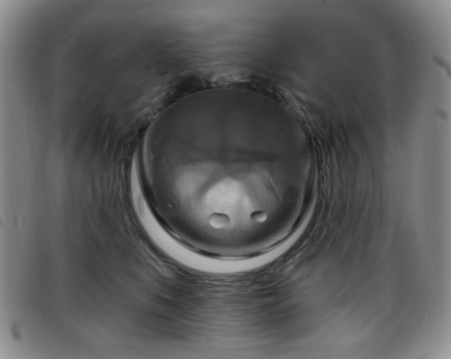 X0000098210519200804241324