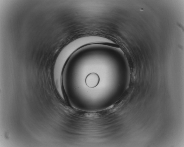 X0000098210520200804241324