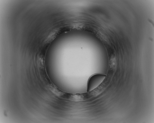 X0000098210522200804241324