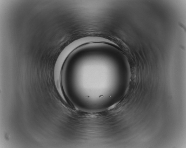 X0000098210523200804241324