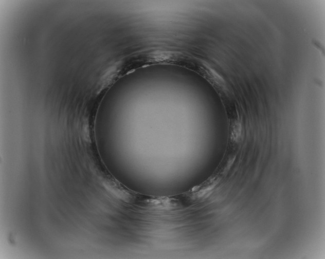 X0000098210524200804241324