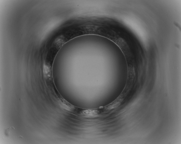 X0000098210526200804241324