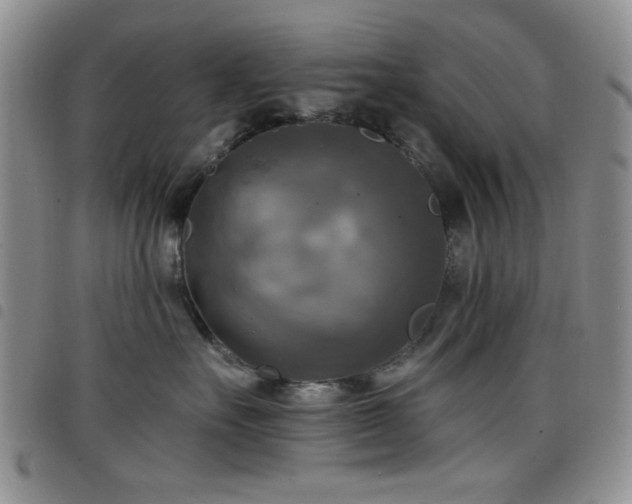 X0000098210527200804241324