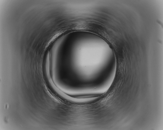 X0000098210530200804241323