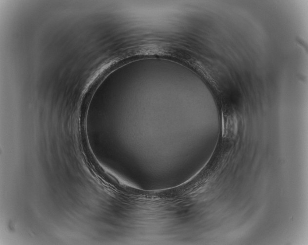 X0000098210531200804241323