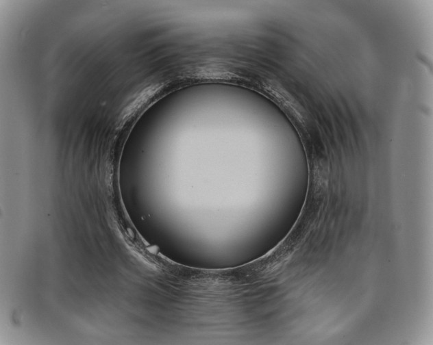 X0000098210533200804241323