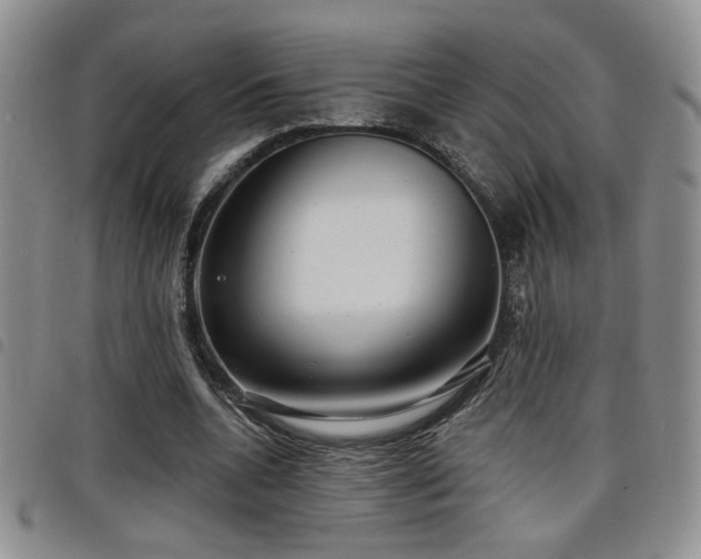 X0000098210536200804241323