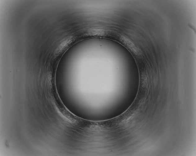 X0000098210538200804241323
