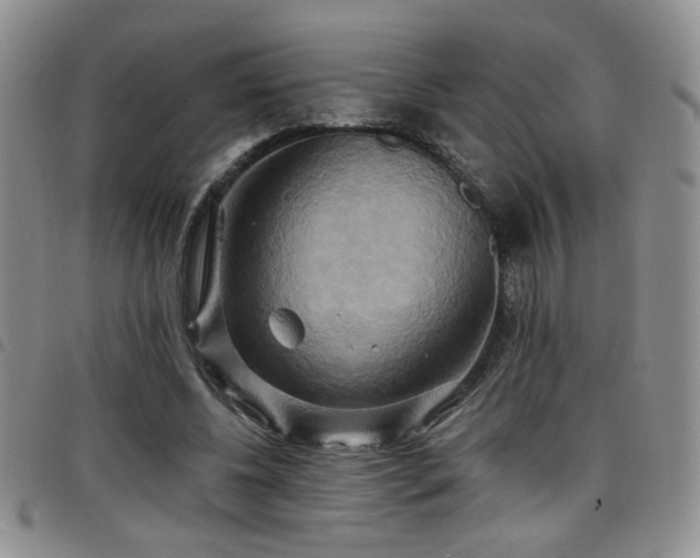 X0000098210540200804241323