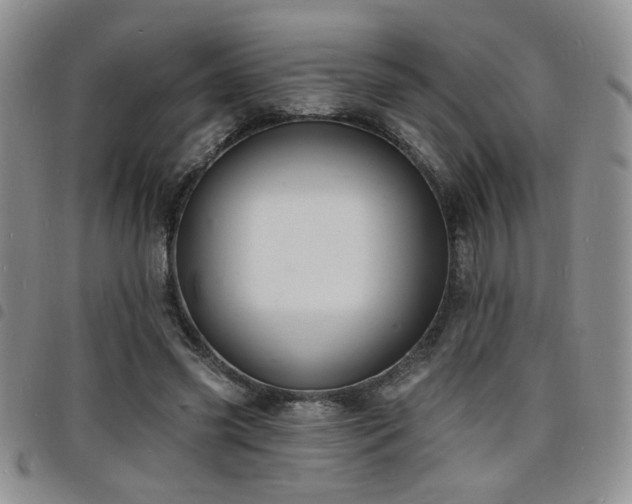 X0000098210541200804241323