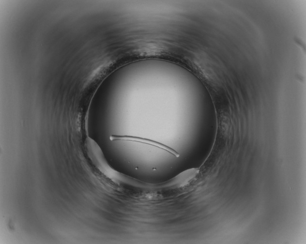 X0000098210543200804241323