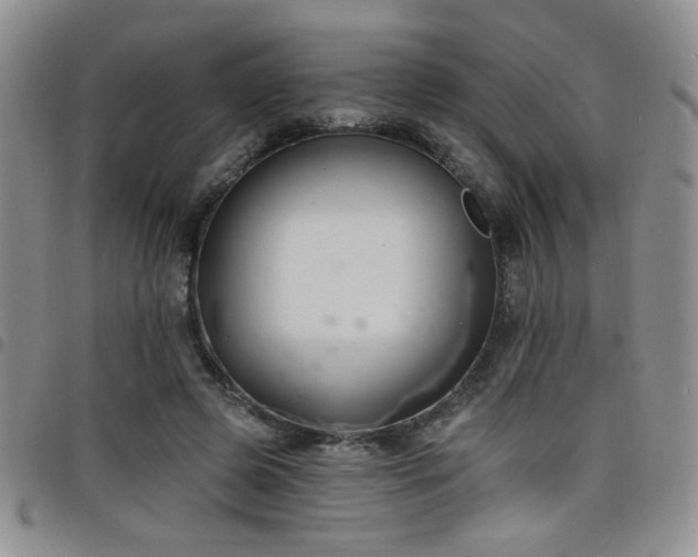 X0000098210545200804241323