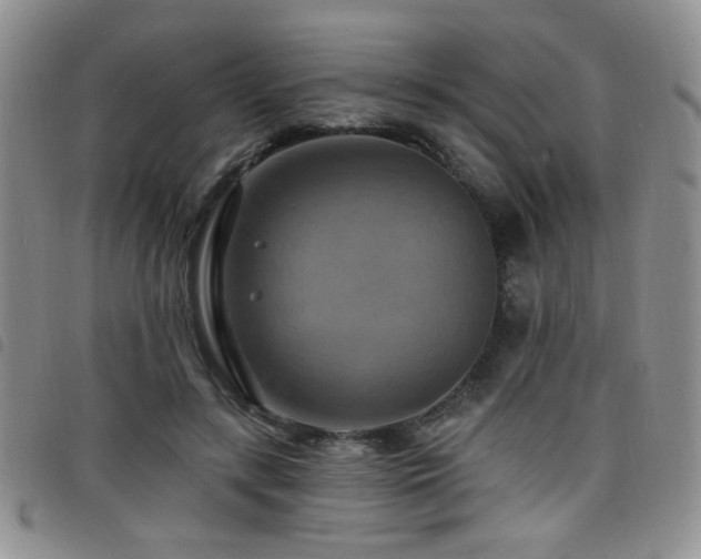 X0000098210547200804241323