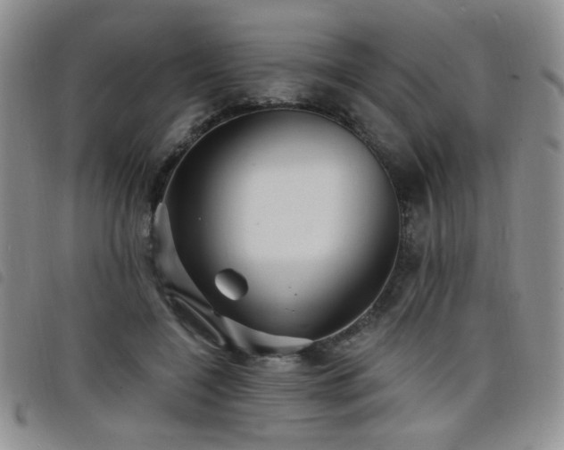 X0000098210548200804241323