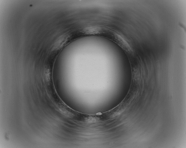 X0000098210549200804241323