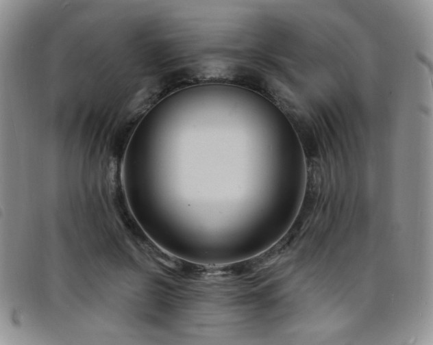 X0000098210550200804241323