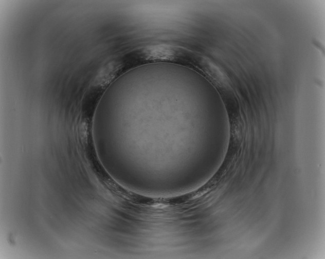X0000098210551200804241323