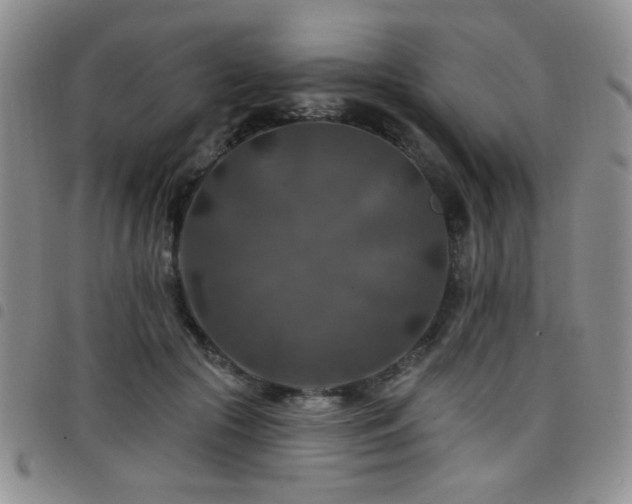 X0000098210553200804241323
