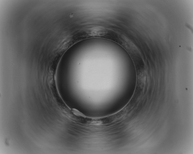 X0000098210554200804241323