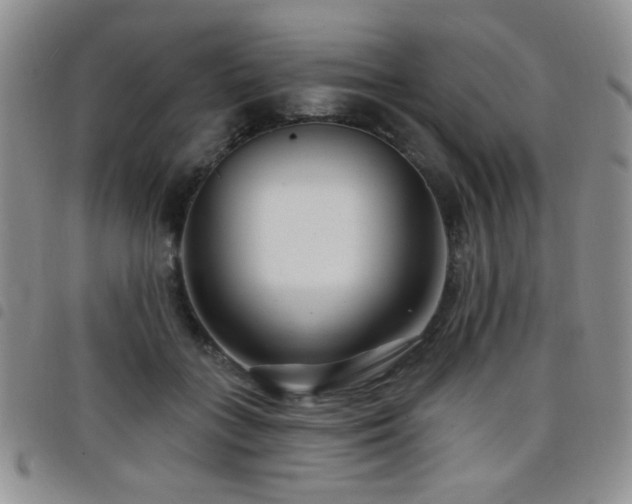 X0000098210555200804241323