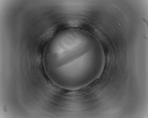 X0000098210559200804241323
