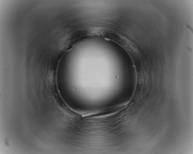 X0000098210560200804241324