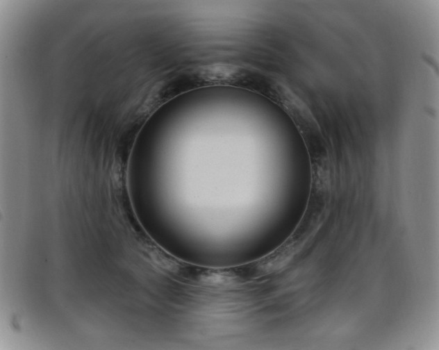 X0000098210561200804241324