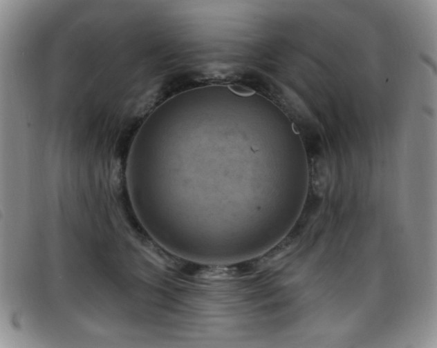 X0000098210563200804241324
