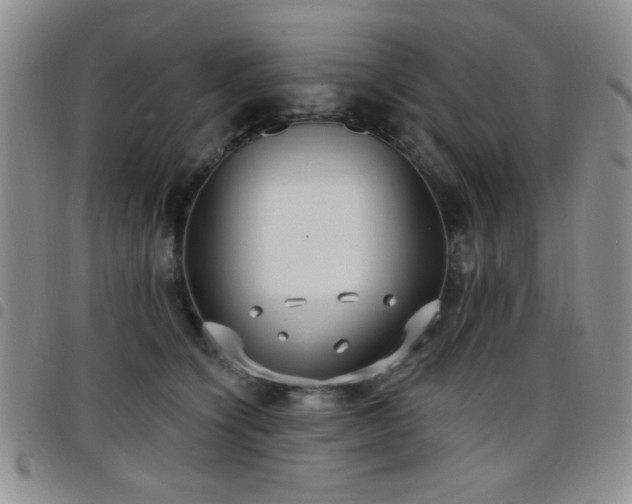 X0000098210564200804241324